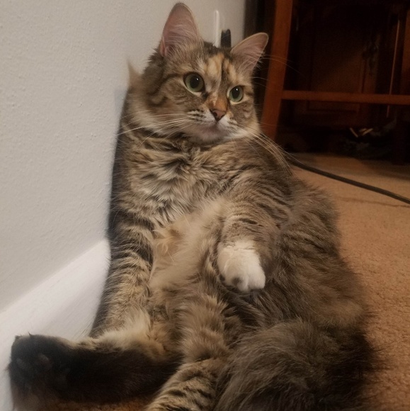 Meet your Posher, Heather - Picture 8 of 8